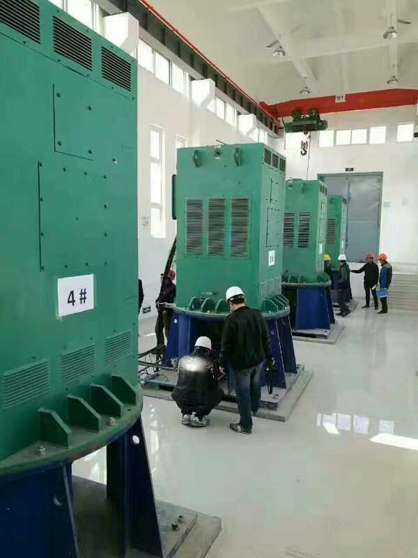 岷县某污水处理厂使用我厂的立式高压电机安装现场