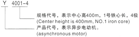 西安泰富西玛Y系列(H355-1000)高压岷县三相异步电机型号说明
