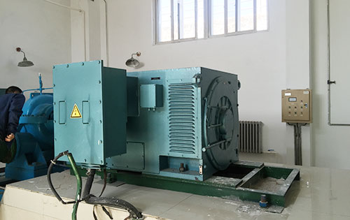 岷县某水电站工程主水泵使用我公司高压电机